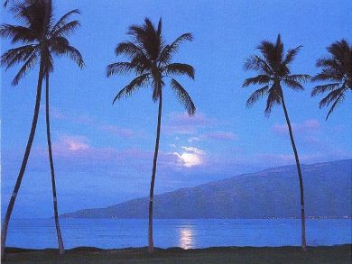 Maui Vacation Condo Value Priced Great Ammenities